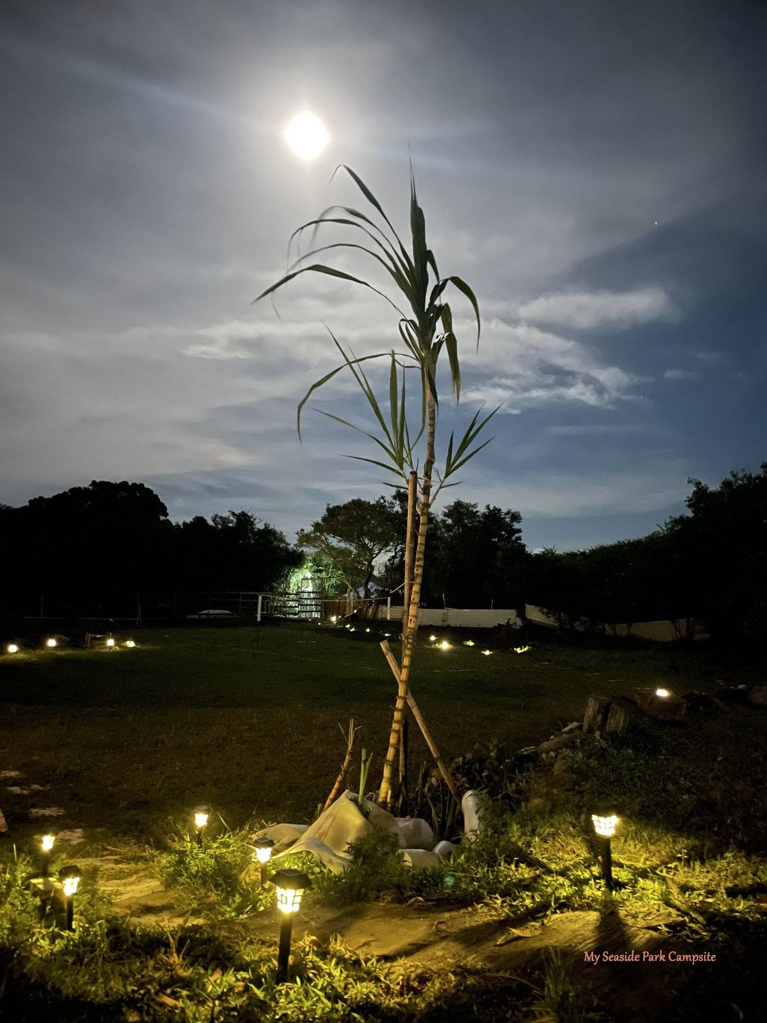 【港版夏威夷鑽石營】My Seaside Park - 鑽石觀星/南非營篷套票 (5人)